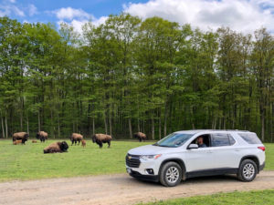 Hidden Valley Animal Adventure in Varysburg, south of Batavia, offers visitors the chance to feed animals.