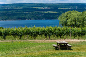 Wagner Vineyards’ prime location on the eastern shore of Seneca Lake contributes to the superior quality of the grapes.